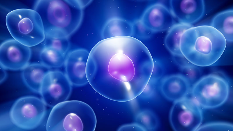 Cancer stem cells