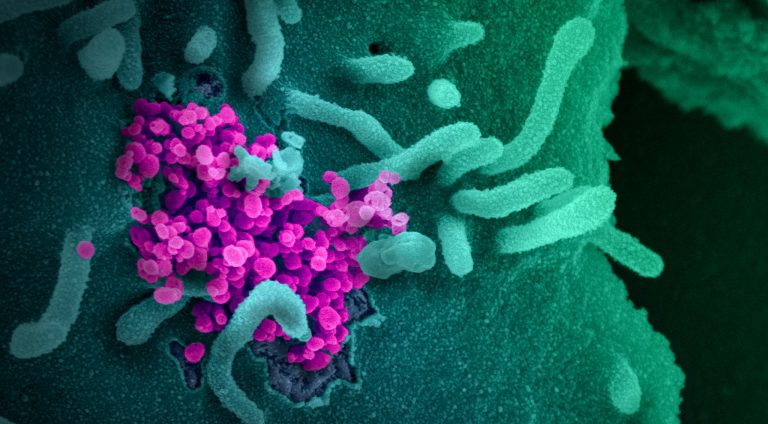 Coronavirus