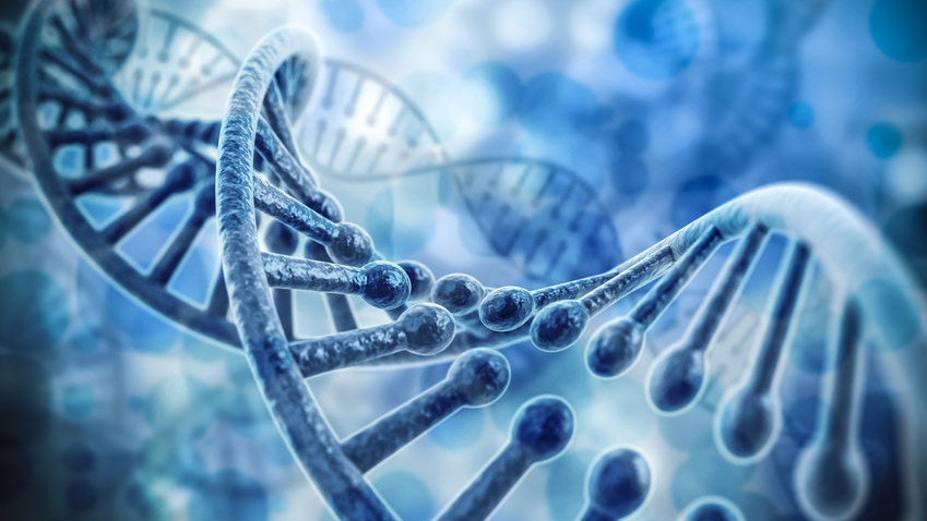 dna1