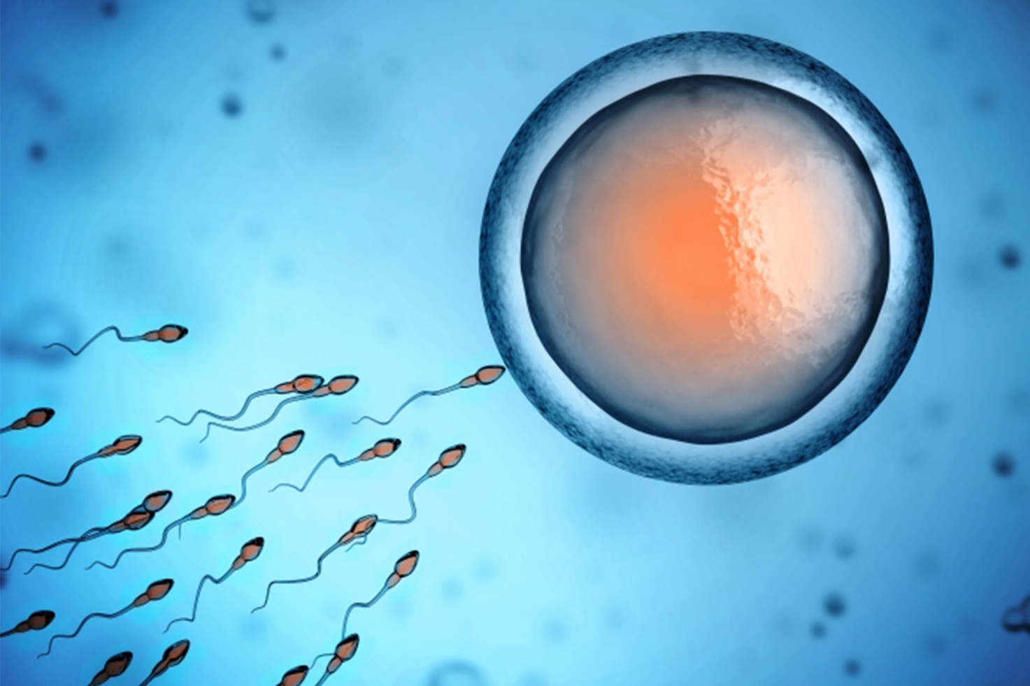 sex reprod